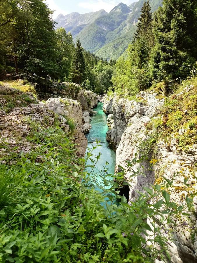 Beti Blu, Kaninska Vas Bovec Eksteriør billede