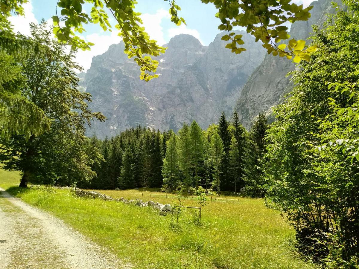 Beti Blu, Kaninska Vas Bovec Eksteriør billede